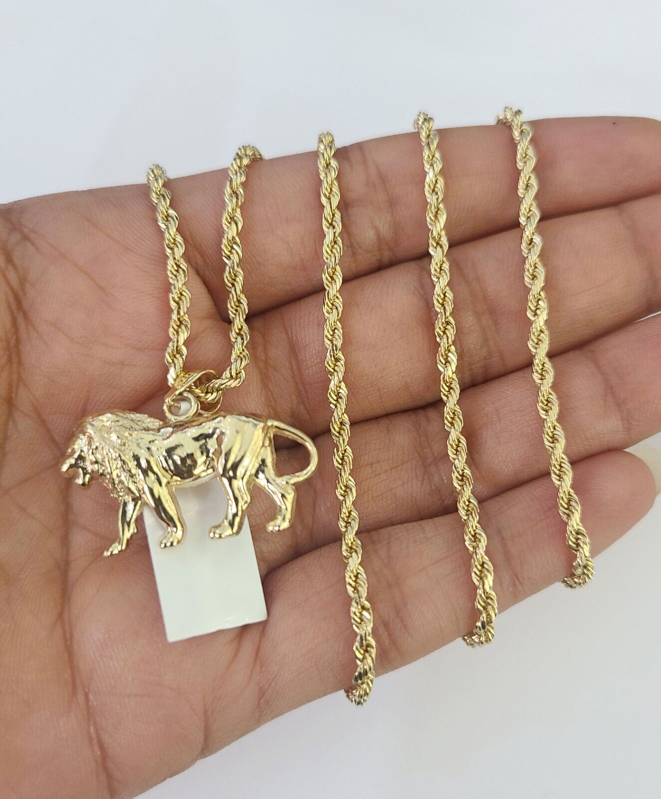 10k 2.5mm Rope Chain Lion Pendant 18" - 30" Yellow Gold Set Charm Necklace - GoldenlinQ