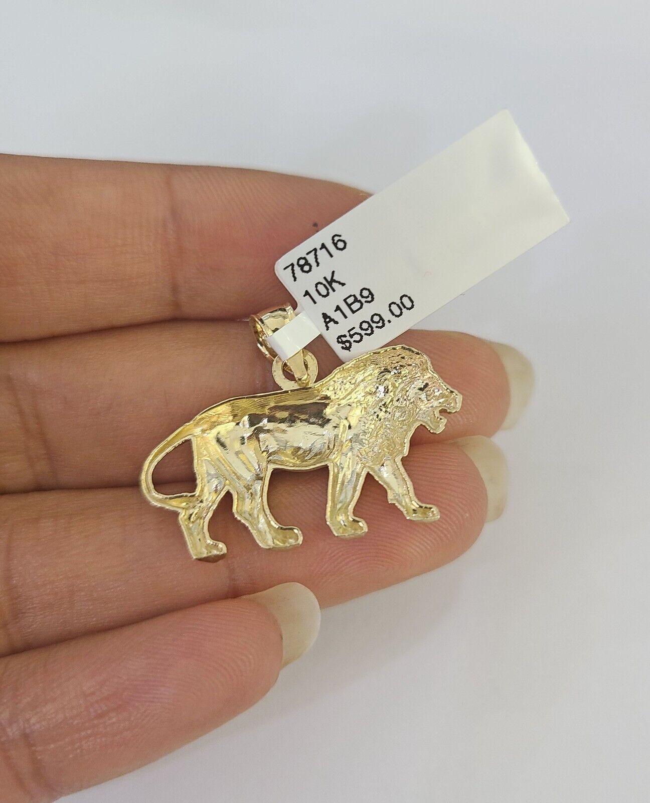 10k 2.5mm Rope Chain Lion Pendant 18" - 30" Yellow Gold Set Charm Necklace - GoldenlinQ